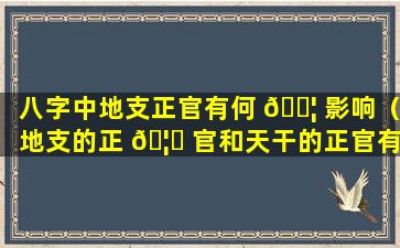 八字中地支正官有何 🐦 影响（地支的正 🦈 官和天干的正官有什么区别）